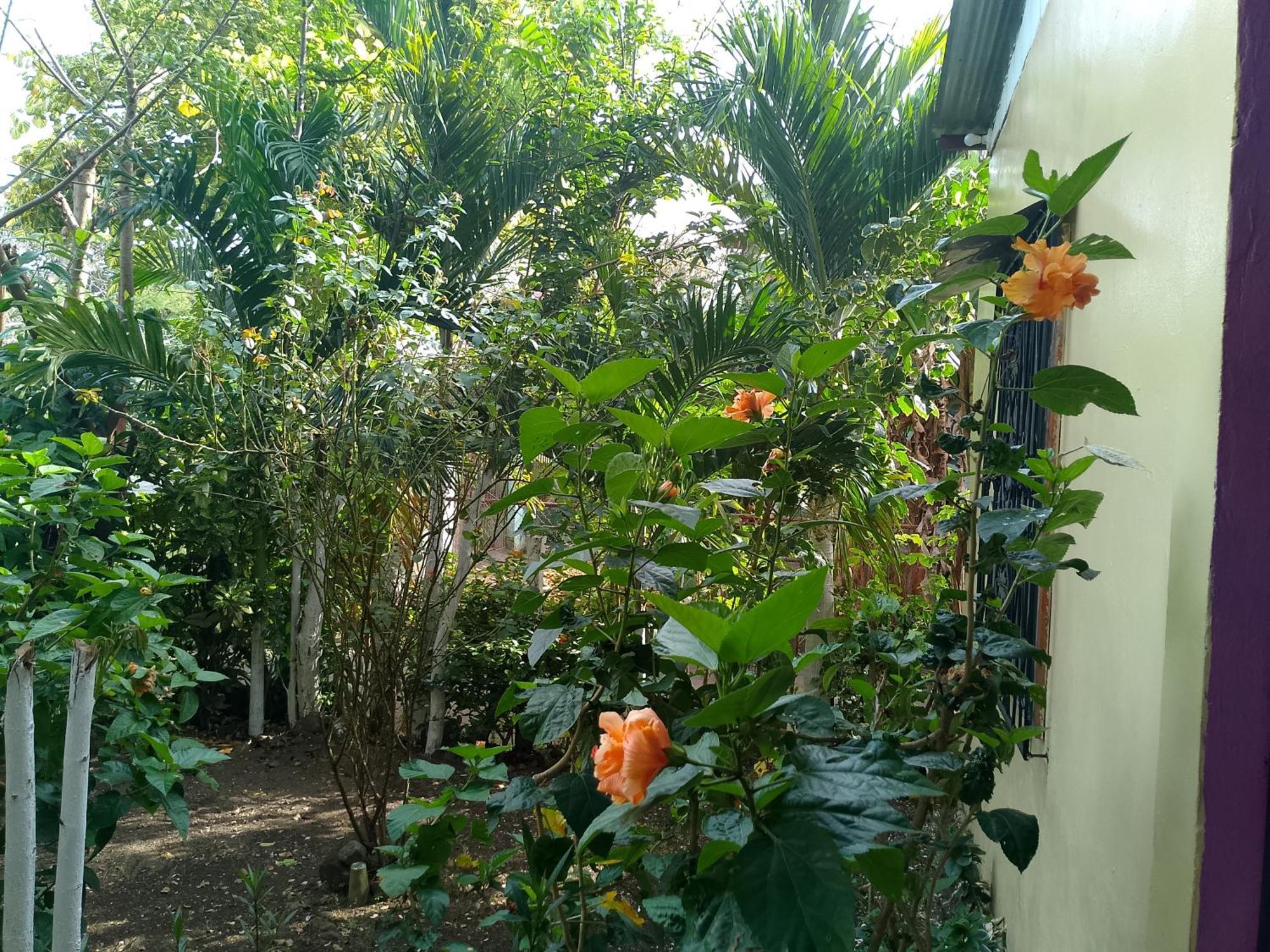 The Malinche Hostal Rivas Ngoại thất bức ảnh